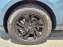 Thumbnail image of 2025 Land Rover Range Rover Evoque at Ray Catena Land Rover Jag Marlboro