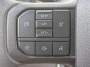 Thumbnail image of 2024 Ford F-250 Super Duty at Langdale Hyundai