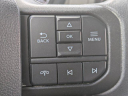 Thumbnail image of 2024 Ford F-250 Super Duty at Langdale Hyundai