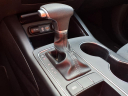 Thumbnail image of 2019 Kia Sorento at Mike Miller Autopark