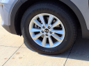 Thumbnail image of 2019 Kia Sorento at Mike Miller Autopark