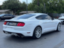 Thumbnail image of 2016 Ford Mustang at CAR KINGS