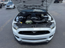 Thumbnail image of 2016 Ford Mustang at CAR KINGS