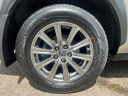 2019 Lexus NX 300 Base at Golling Chrysler Jeep Dodge Ram of Chelsea
