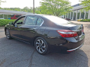 Thumbnail image of 2017 Honda Accord at J L Freed Honda (Used)