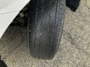 Thumbnail image of 2022 Chevrolet Silverado 1500 at EriksChevroletUSED of Kokomo, IN