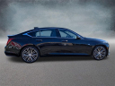 Thumbnail image of 2025 Cadillac CT5 at Trent Cadillac Buick Gmc