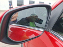 Thumbnail image of 2016 Toyota 4Runner at FreemanToyota USED