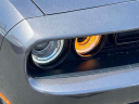 Thumbnail image of 2021 Dodge Challenger at Nissan of Westbury
