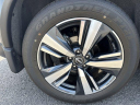 Thumbnail image of 2023 Nissan Rogue at Ed Martin Budget Car Sales. USED