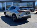 Thumbnail image of 2022 Lexus NX 350 at Lexus of Smithtown