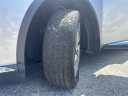 Thumbnail image of 2020 Nissan Murano at Capital Nissan