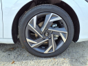 Thumbnail image of 2025 Hyundai ELANTRA at Coastal Hyundai
