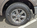 Thumbnail image of 2019 Ford F-150 at Fred Beans Ford Newtown NEW
