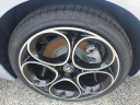 Thumbnail image of 2024 Alfa Romeo Giulia at GatorFiat New