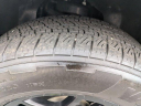 Thumbnail image of 2024 Ford F-150 at Speedway Ford New