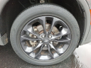 Thumbnail image of 2021 Dodge Durango at Brown Daub Chrysler Dodge Jeep Ram Fiat