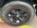 Thumbnail image of 2024 Toyota 4Runner at Mike Calvert Toyota - New