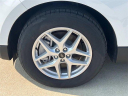 Thumbnail image of 2024 Ford Edge at RoyOBrienFordUSED of St. Clair Shores, MI