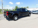 Thumbnail image of 2025 Ford F-350 Super Duty at Wetzel Ford