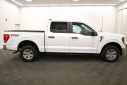Thumbnail image of 2023 Ford F-150 at Tom Kadlec Honda