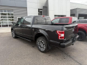 Thumbnail image of 2020 Ford F-150 at Osseo Ford