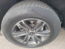 Thumbnail image of 2022 Ford F-150 at Gary Smith Ford