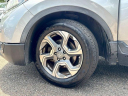 Thumbnail image of 2019 Honda CR-V at JenkinsKiaOfGainesville-New of Gainesville, FL
