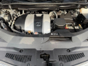 Thumbnail image of 2021 Lexus RX 350 at Northtown Lexus