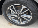Thumbnail image of 2023 Kia Forte at Kia Of Cleveland