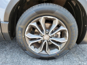 Thumbnail image of 2022 Honda CR-V at Piazza Acura Honda of Reading