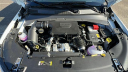 Thumbnail image of 2025 Jeep Compass at Jim Riehl's Friendly Chrysler Dodge Jeep Ram of Lapeer