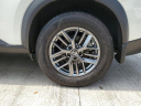 Thumbnail image of 2021 Nissan Rogue at AcuraOfPembrokePines of Pembroke Pines, FL