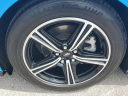 Thumbnail image of 2024 Ford Mustang at LorenzoFord-New of Homestead, FL