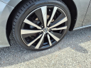 Thumbnail image of 2019 Nissan Altima at Freedom Ford Of Wise