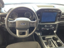 Thumbnail image of 2022 Ford F-150 at Buss Ford Lincoln