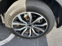 Thumbnail image of 2022 Ford Explorer at Wayne Akers Ford