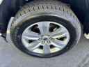 Thumbnail image of 2019 Ford F-150 at ZARA AUTO SALES INC