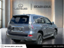 Thumbnail image of 2021 Lexus GX 460 at Stoler Lexus