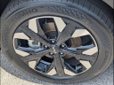 Thumbnail image of 2023 Kia Sportage at Kia Of Chattanooga
