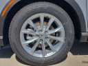 Thumbnail image of 2025 Honda CR-V at VeniceHonda - USED