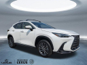 Thumbnail image of 2025 Lexus NX 350 at HiltonHeadLexus-Used of Hardeeville, SC