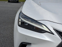 Thumbnail image of 2025 Lexus NX 350 at HiltonHeadLexus-Used of Hardeeville, SC