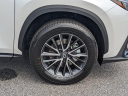 Thumbnail image of 2025 Lexus NX 350 at HiltonHeadLexus-Used of Hardeeville, SC