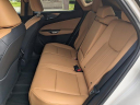 Thumbnail image of 2025 Lexus NX 350 at HiltonHeadLexus-Used of Hardeeville, SC