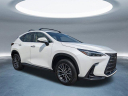 Thumbnail image of 2025 Lexus NX 350 at HiltonHeadLexus-Used of Hardeeville, SC
