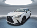 Thumbnail image of 2025 Lexus NX 350 at HiltonHeadLexus-Used of Hardeeville, SC