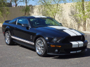 Thumbnail image of 2007 Ford Shelby GT500 at Midline Motors