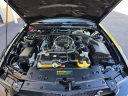Thumbnail image of 2007 Ford Shelby GT500 at Midline Motors