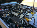 Thumbnail image of 2007 Ford Shelby GT500 at Midline Motors